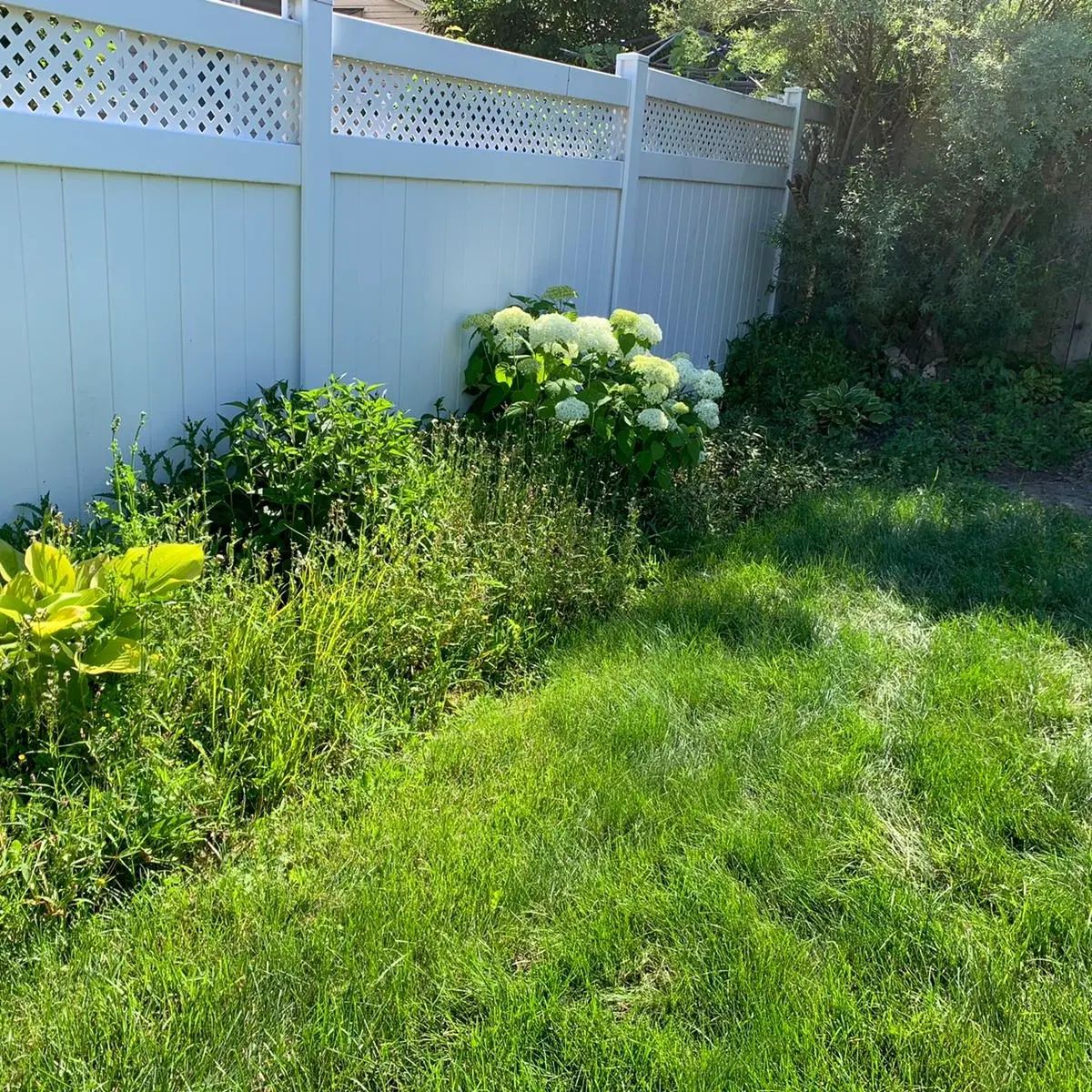 Fence Garden before