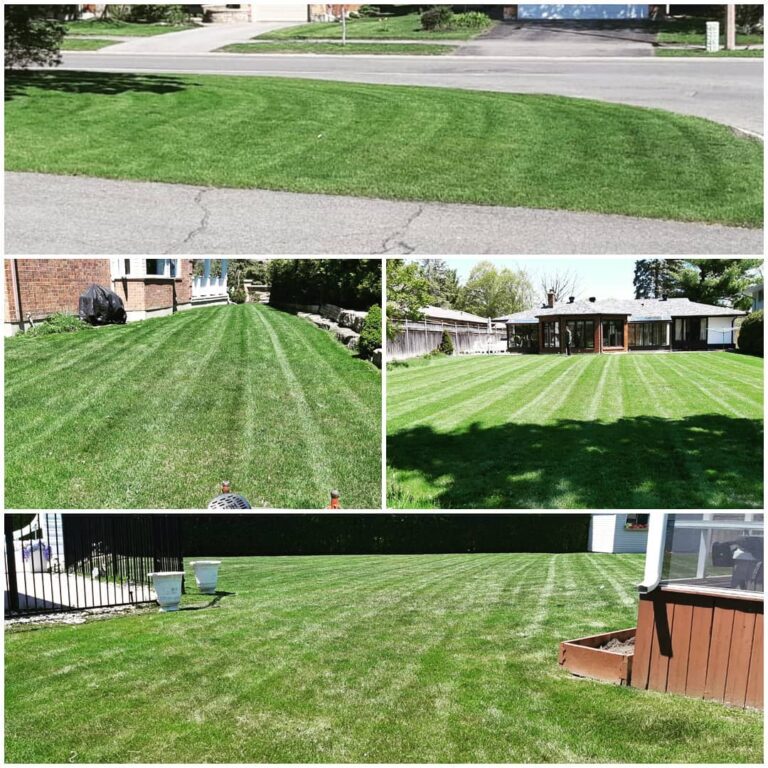 Lawn Stripes