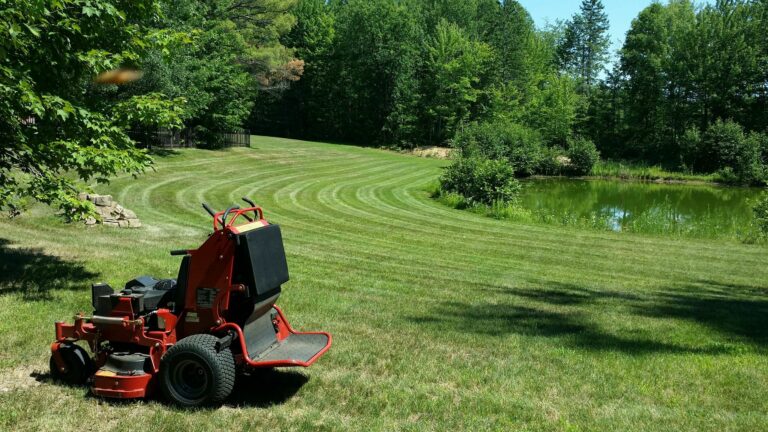 Pond Lawn stripes