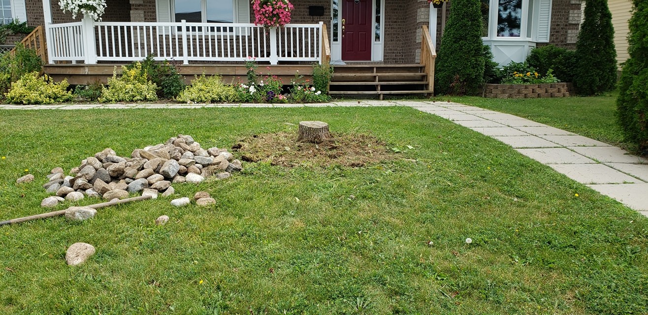 Stump Removal 2